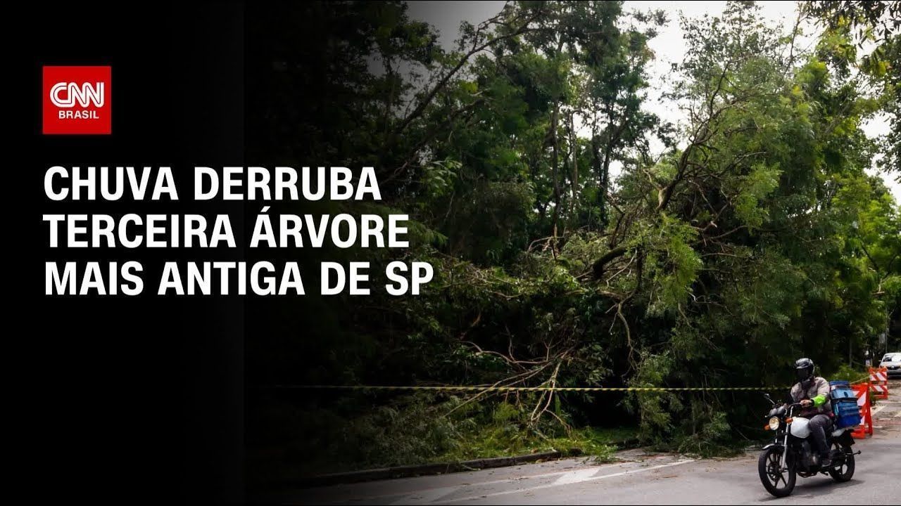 mercado-de-carbono-engatinha,-mas-engaja-especialistas-em-investimentos
